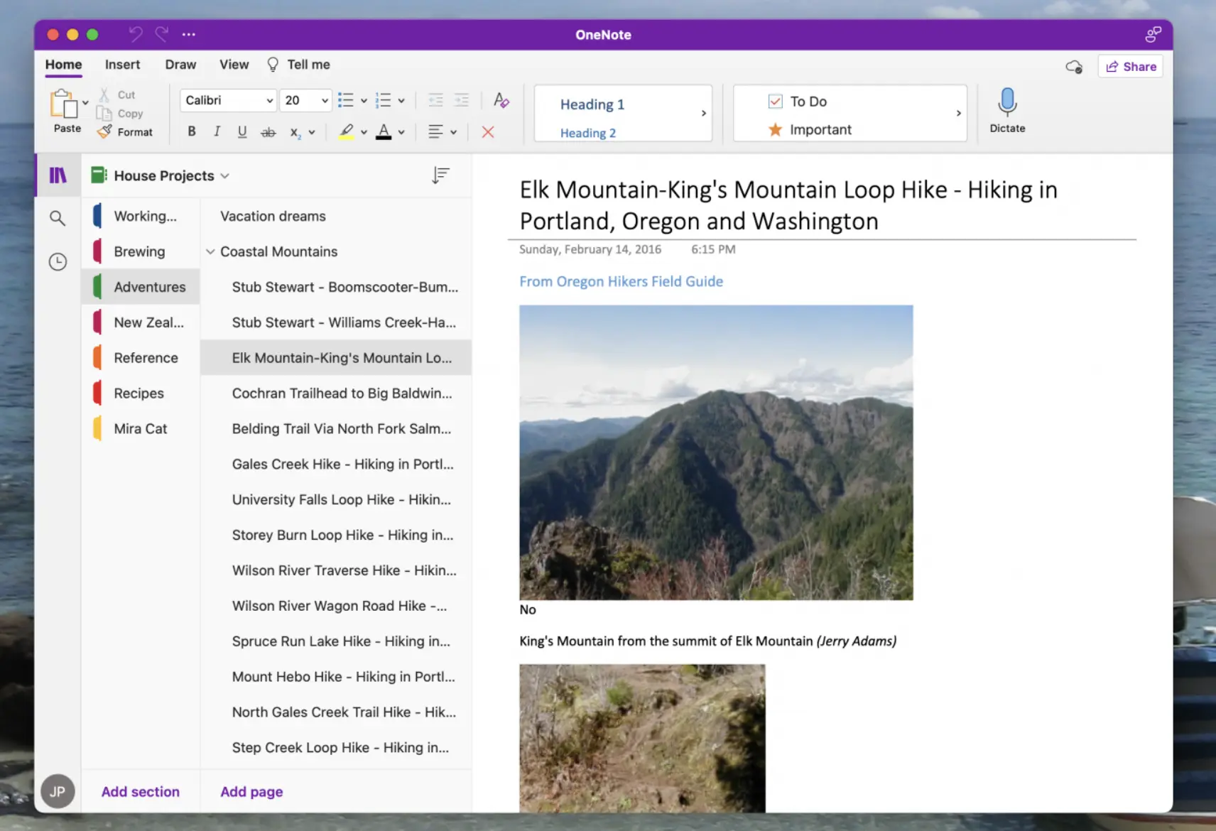 OneNote