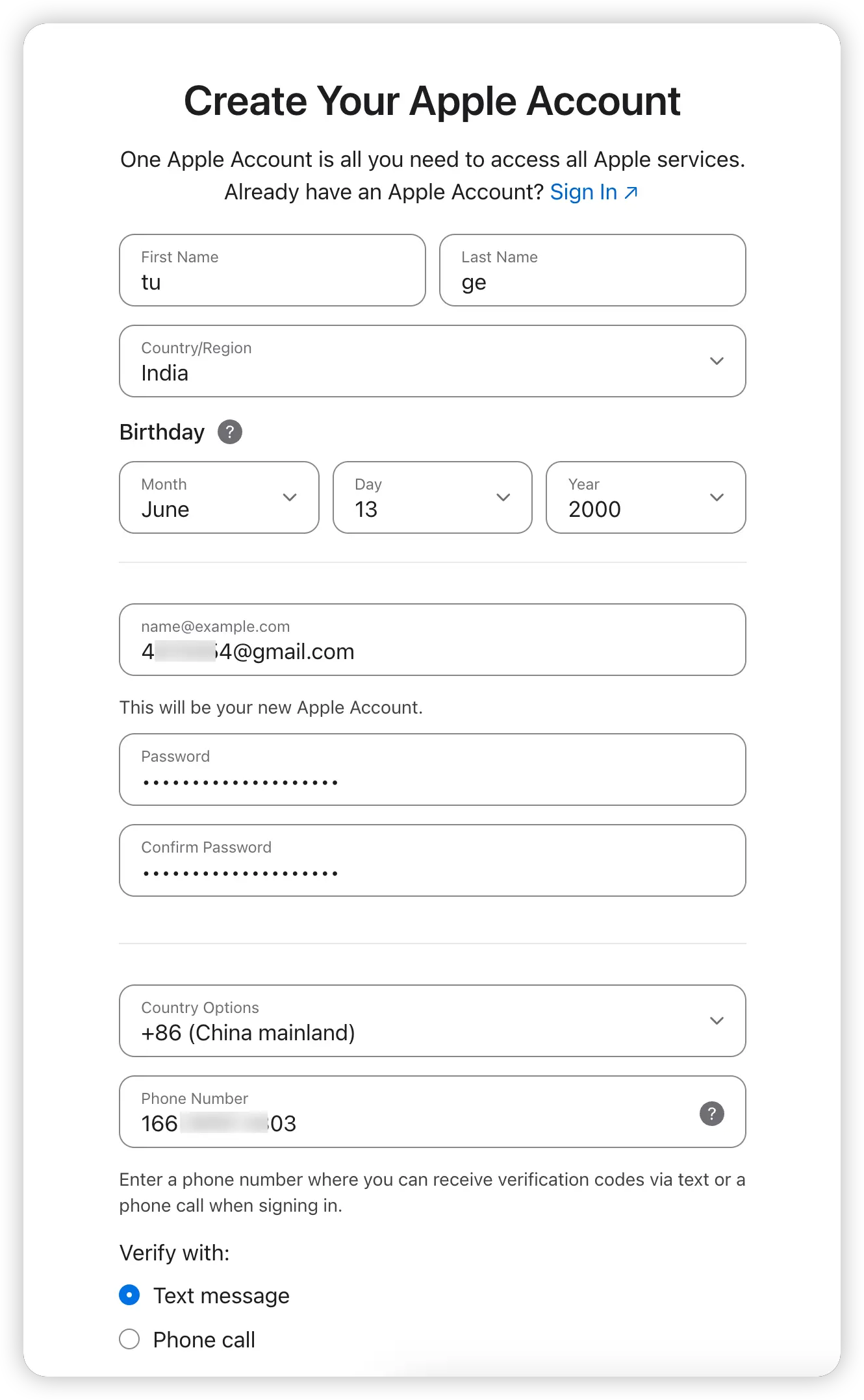 新的 Apple ID 信息填写