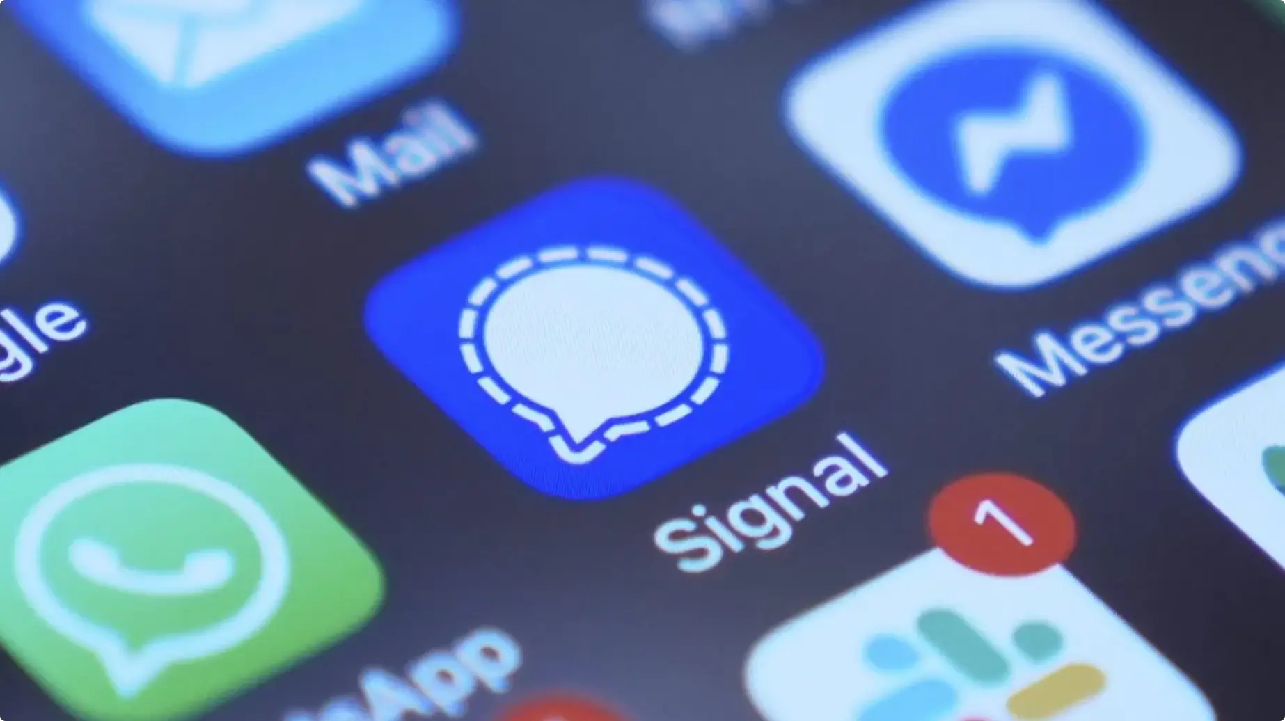 Signal首图