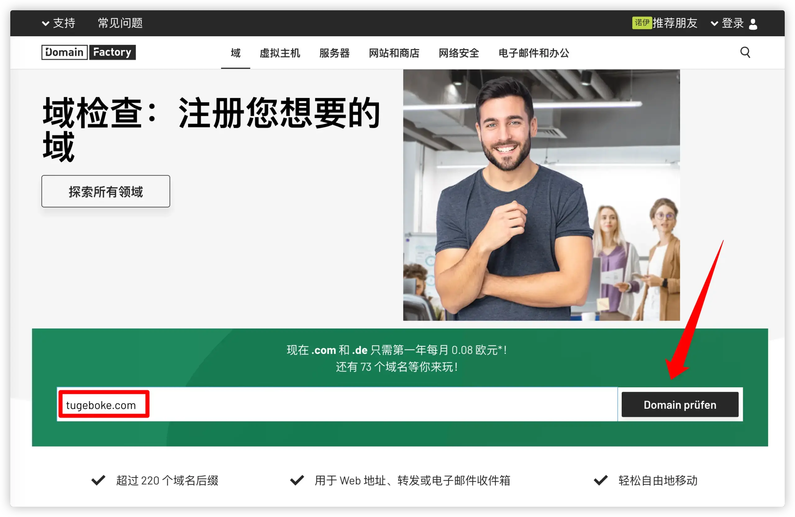 图 1：搜索域名